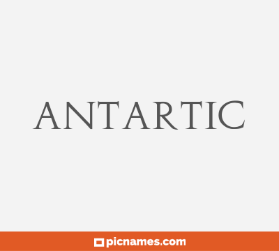 Antartic