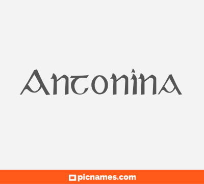 Antonina
