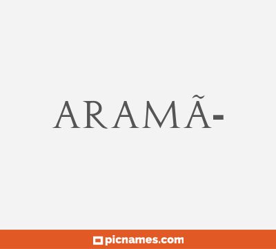 AramÃ­