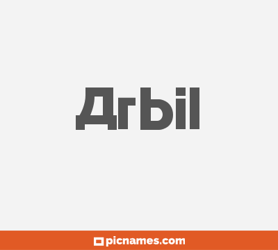 Arbil