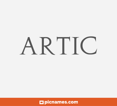 Artic