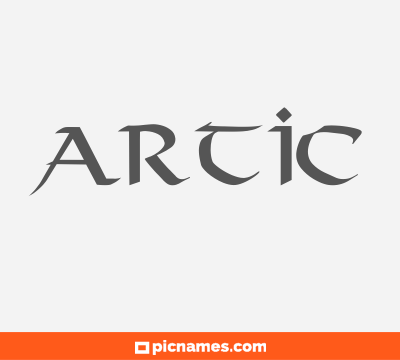 Artic