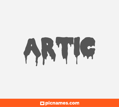 Artic