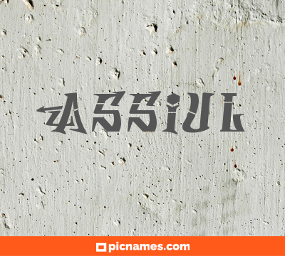 Assiul