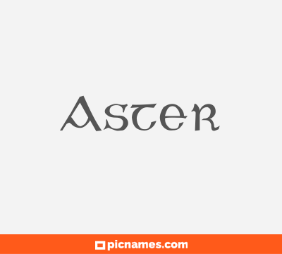 Aster