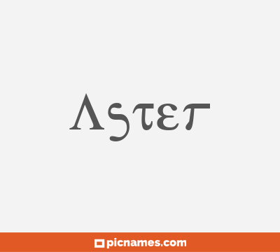 Aster