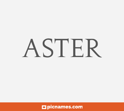 Aster