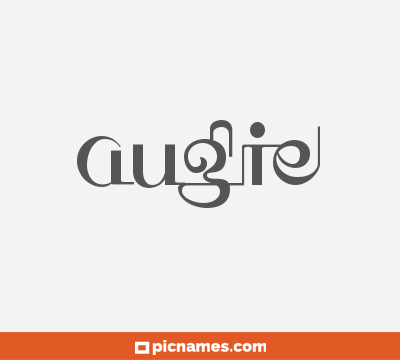 Augie