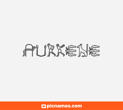 Aurkene