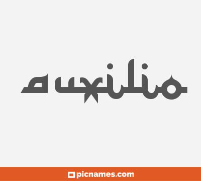 Auxilio