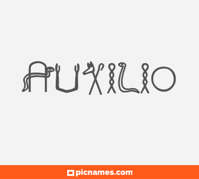 Auxilio