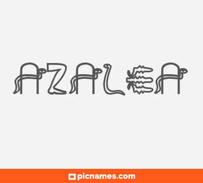 Azalea