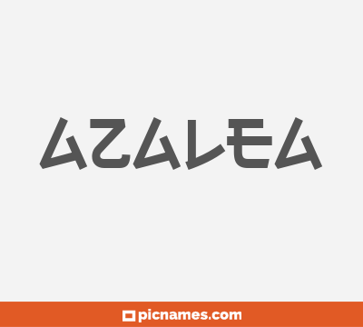 Azalea