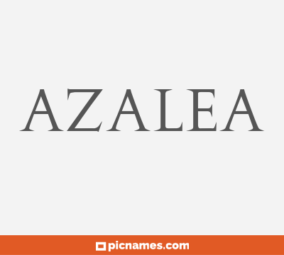 Azalea