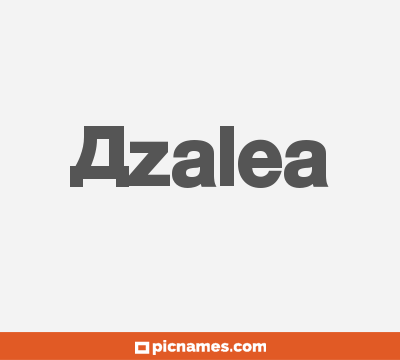 Azalea