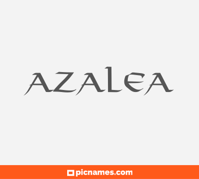 Azalea