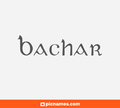 Bachar