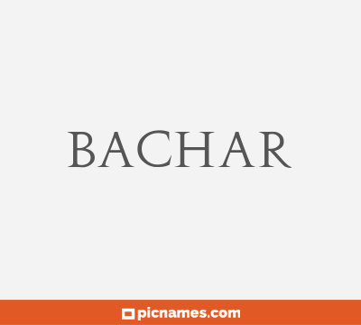 Bachar