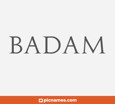 Badam