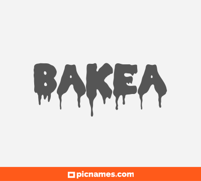 Bake