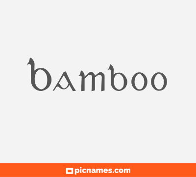 Bamboo