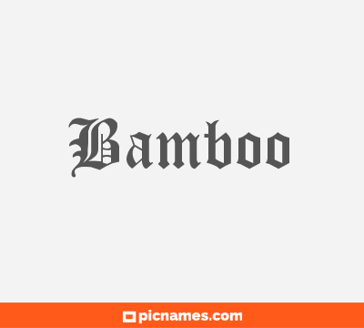 Bamboo