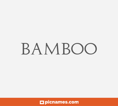 Bamboo