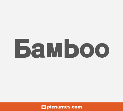 Bamboo