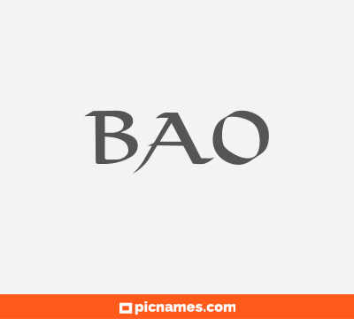 Bao