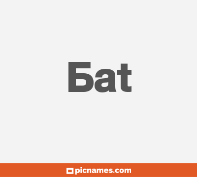 Bat