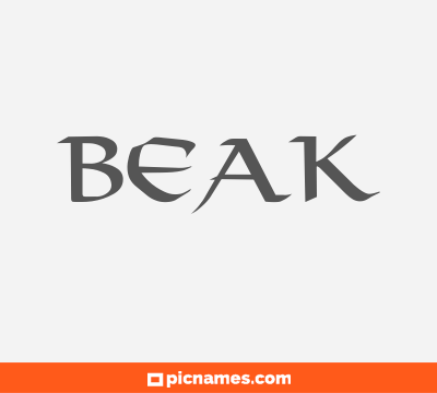 Beak