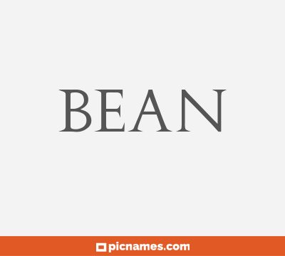 Bean