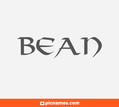 Bean