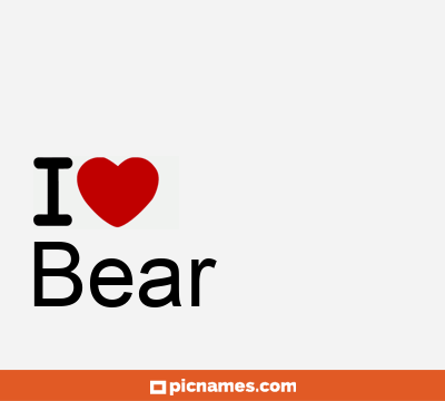 Bear