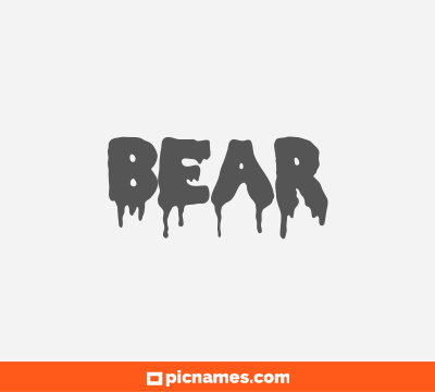 Bear