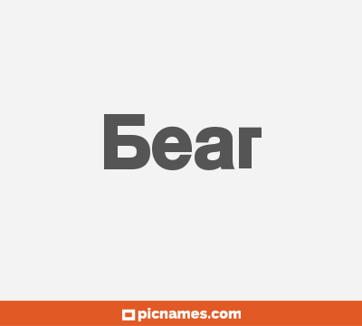 Bear