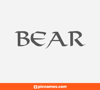 Bear