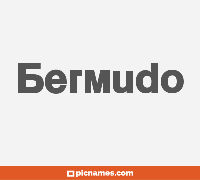 Bermudo