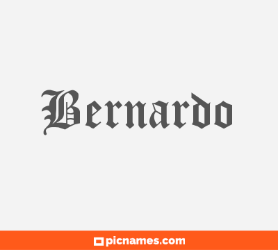 Bernardo