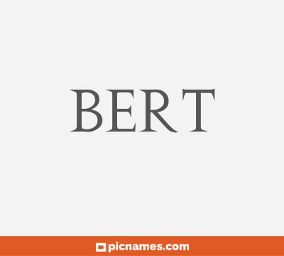 Bert
