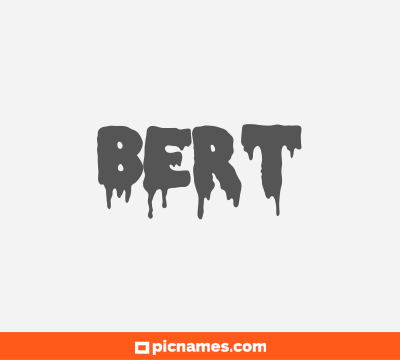 Bert