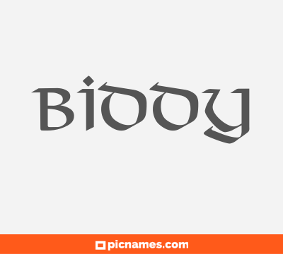 Biddy