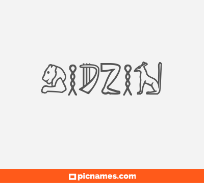 Bidzin