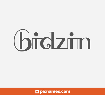 Bidzin