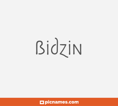 Bidzin