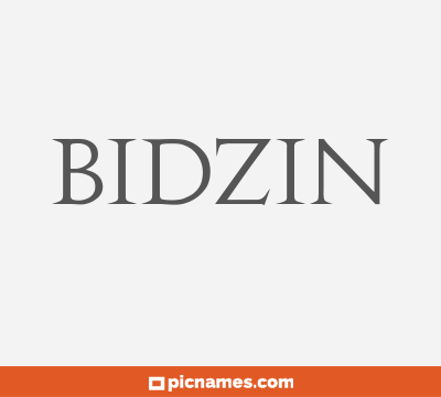 Bidzin
