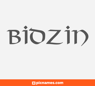 Bidzin