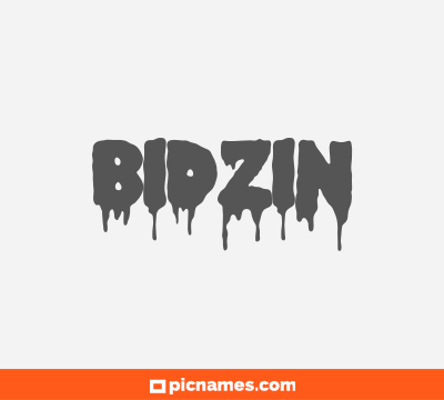 Bidzin