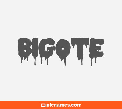 Bigote
