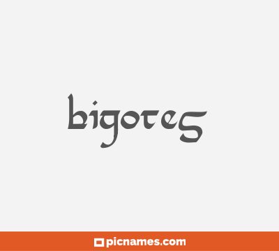 Bigotes